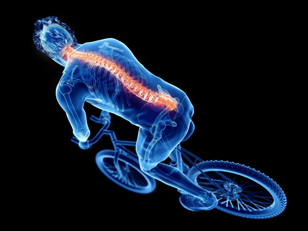 bike (1)