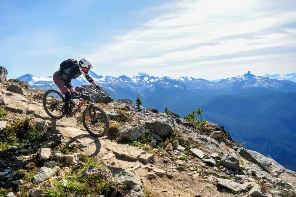 vtt (1)